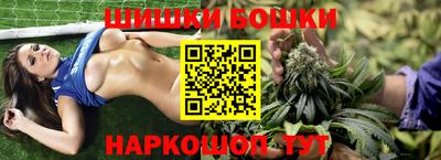 сатива Можга