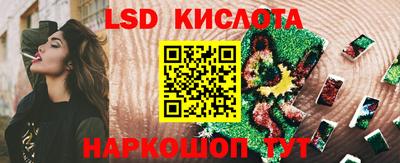 сатива Можга