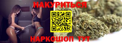 сатива Можга