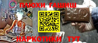 сатива Можга