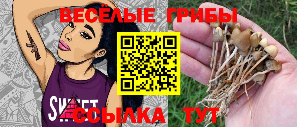 Псилоцибиновые грибы GOLDEN TEACHER  Псилоцибиновые грибы мухоморы  Фурманов  Вход с VPN 